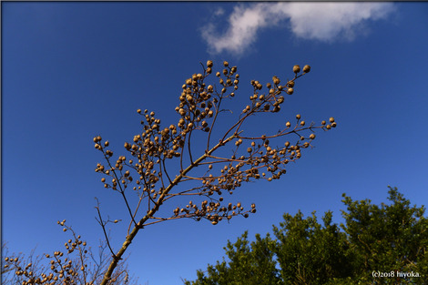 P1100965