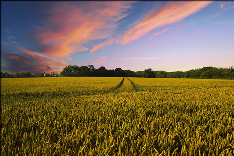countryside-2326787_1280