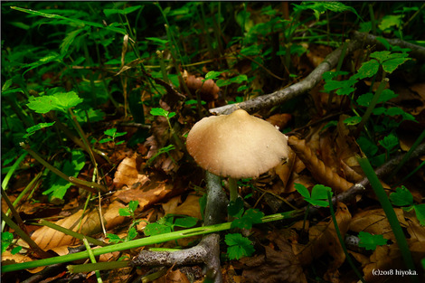 P1100335