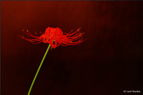 P1050184
