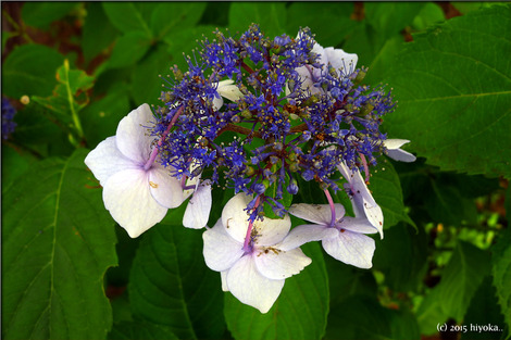P1060325