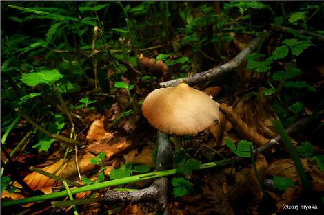P1100335