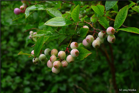 P1040522