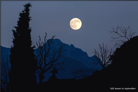 moon-744983