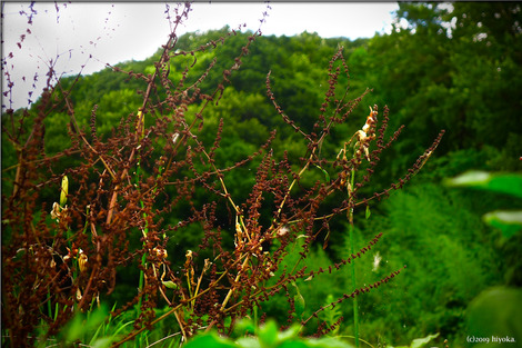 P1140033