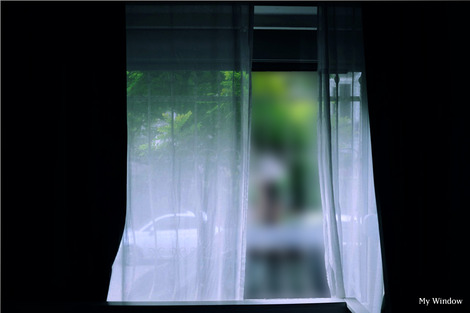 window