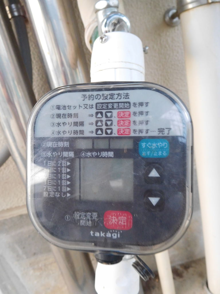理科 ポイント210 ４年生理科 ゴーヤやツルレイシを簡単に栽培する方法 楽しい小学校理科授業 の500のポイント