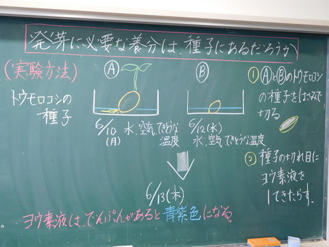 理科 ポイント218 5年生 植物の発芽 の実験のコツはこれだ 楽しい小学校理科授業 の500のポイント 理科 ポイント218 5年生 植物の発芽 の実験のコツはこれだ 楽しい小学校理科授業 の500のポイント