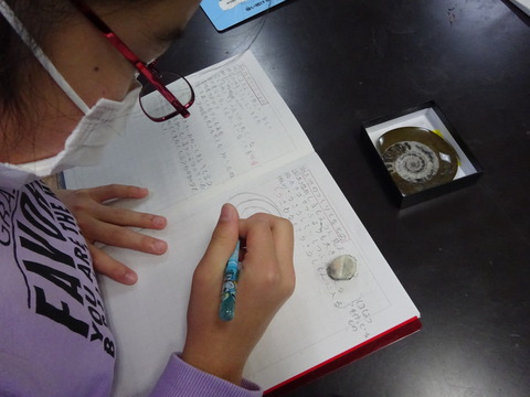 理科ポイント 408 ６年生 土地の作り の展開 楽しい 小学校理科授業 生活科 クラブ活動 の600のポイント