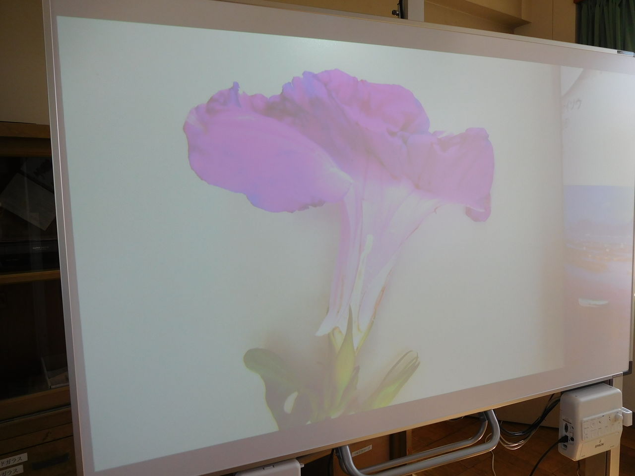 理科 ポイント256 5年生 植物の実や種のつき方 の観察のポイント 楽しい小学校理科授業 の500のポイント 理科 ポイント256 5年生 植物の実や種のつき方 の観察のポイント 楽しい小学校理科授業 の500のポイント