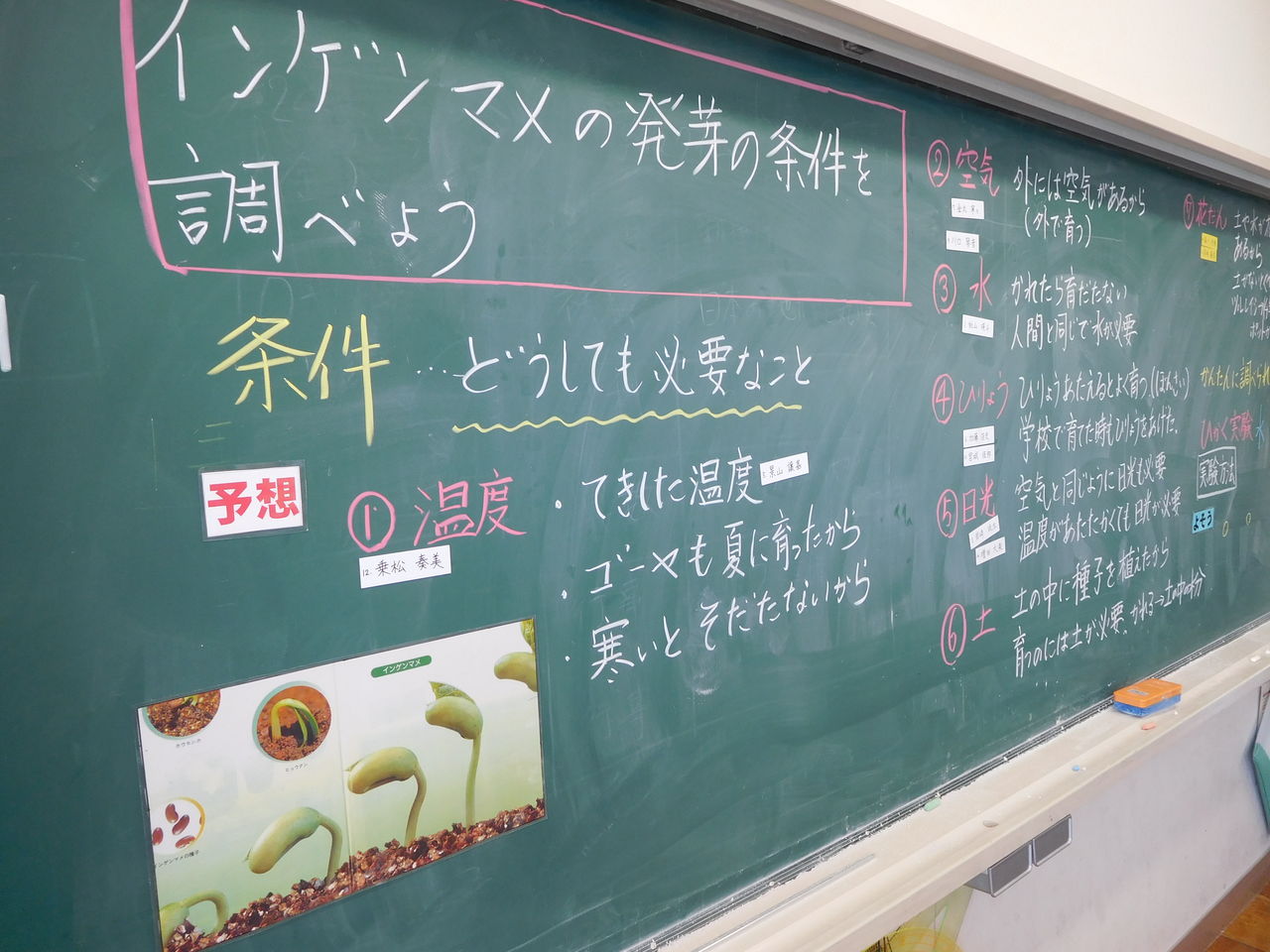 理科 ポイント5 ５年生 植物の発芽 の導入はこれだ 楽しい小学校理科授業 の500のポイント