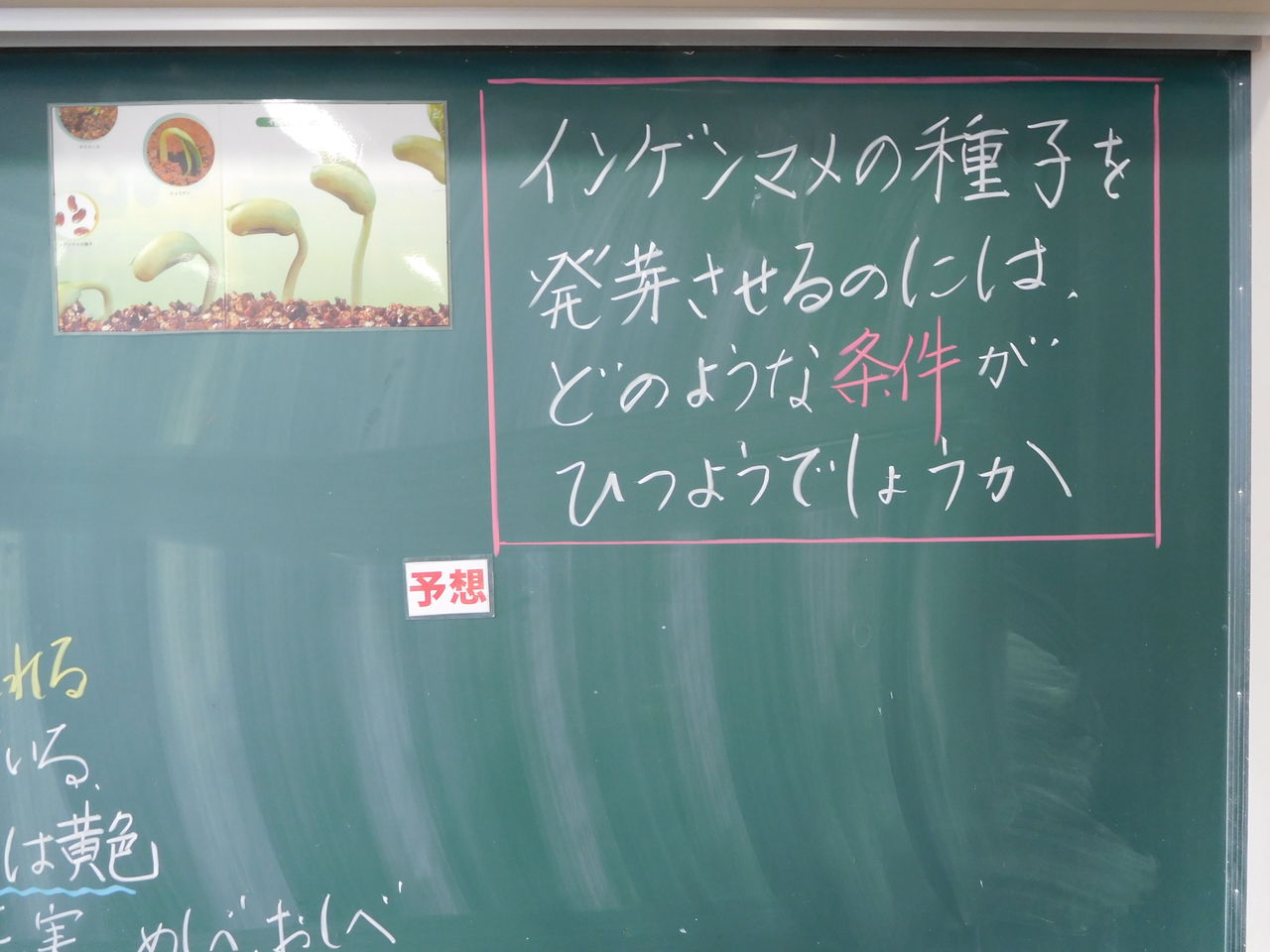 理科 ポイント5 ５年生 植物の発芽 の導入はこれだ 楽しい小学校理科授業 の500のポイント