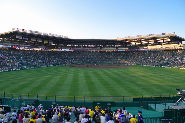 Koshien_Stadium_Ginsan_and_Liner_Vision