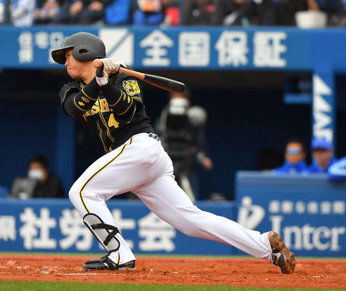 201903190000918-w500_0