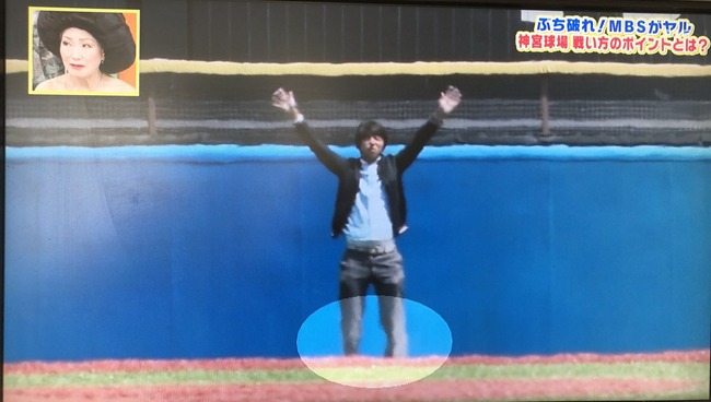 Npb News なんjまとめ 悲報 神宮球場 欠陥球場だった