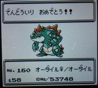 Npb News なんjまとめ ワイ やっとポケモン金銀発売か さて 最初のジムリーダーの手持ちは Npb News なんjまとめ ワイ やっとポケモン金銀発売か さて 最初のジムリーダーの手持ちは