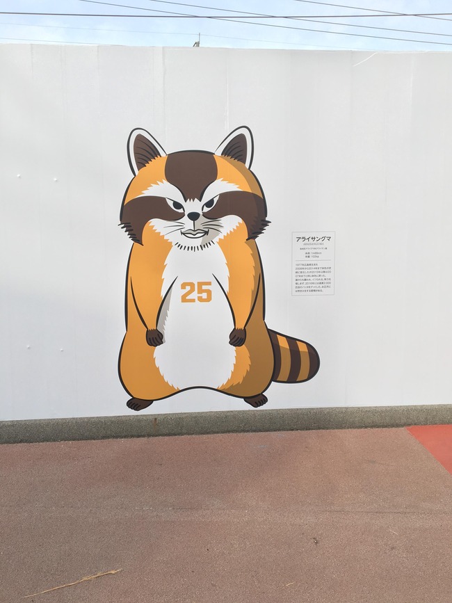Npb News なんjまとめ 悲報 新井さんアライグマになる
