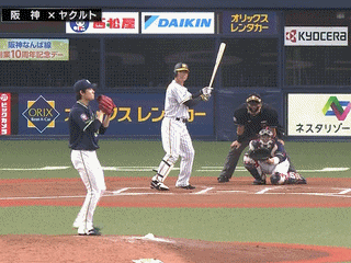 Npb News なんjまとめ 福留孝介 41 000 10 0 0打点 Ops 167 Npb News なんjまとめ 福留孝介 41 000 10 0 0打点 Ops 167