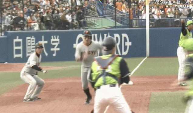 Npb News なんjまとめ 女 一塁の仲間 毎回セーフってやるよねw