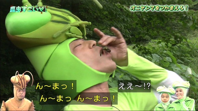 Npb News なんjまとめ Eテレ 香川照之の昆虫すごいぜ Inマレーシア Npb News なんjまとめ Eテレ 香川照之の昆虫すごいぜ Inマレーシア