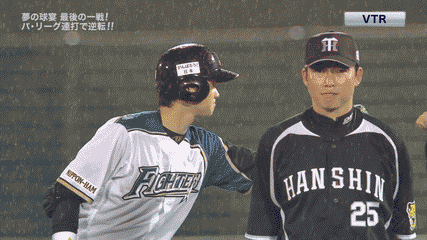 Npb News なんjまとめ 野球gifの最高傑作って何
