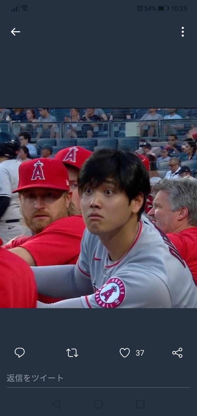 Npb News なんjまとめ 画像 大谷さん イケメンすぎる