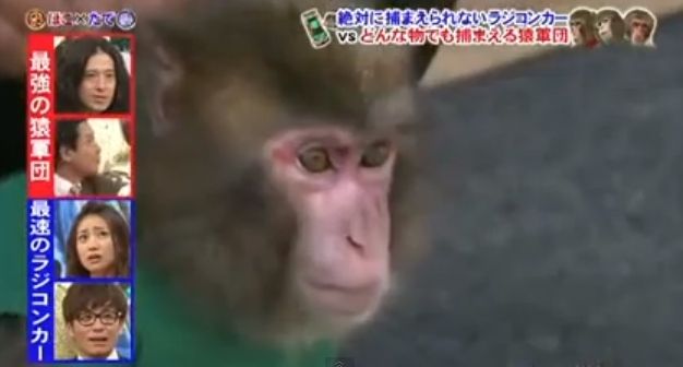 images (3)
