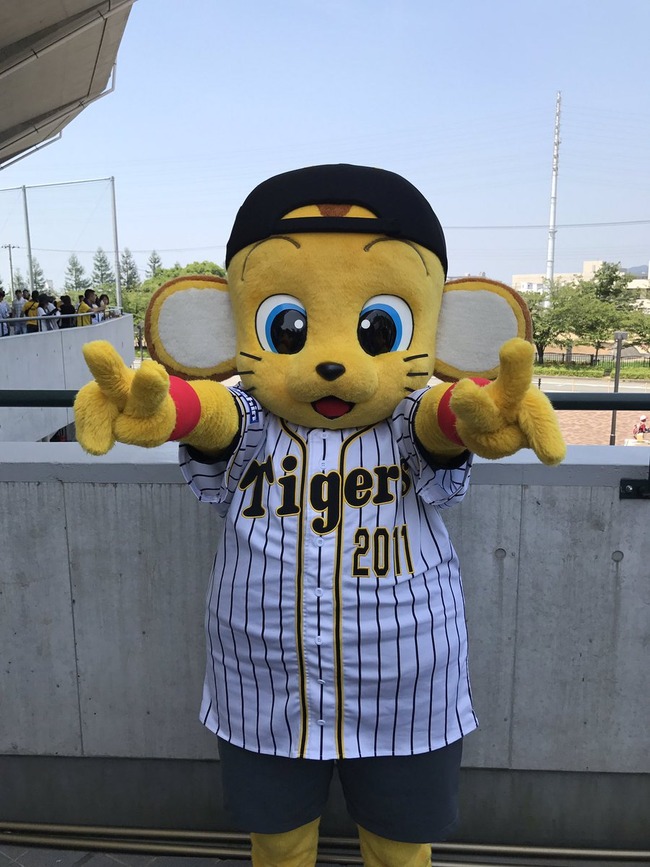 Npb News なんjまとめ 日刊 阪神ファンは蛍の光をいい加減やめろ 汚いヤジといい子どもに悪影響だ 野球人気が低下する