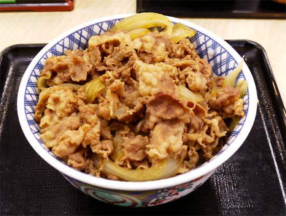 20100413458246