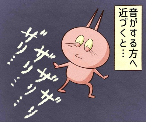 IMG_0813