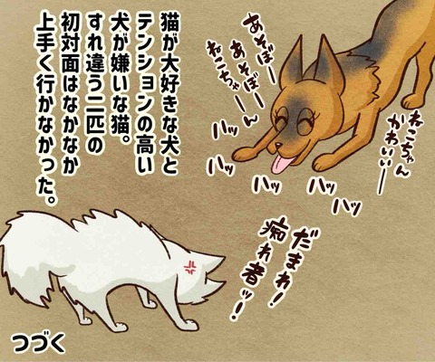 IMG_9482