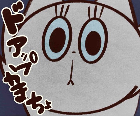 IMG_8911