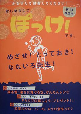 ぽっけ表紙