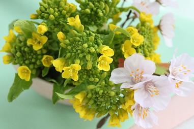 菜の花