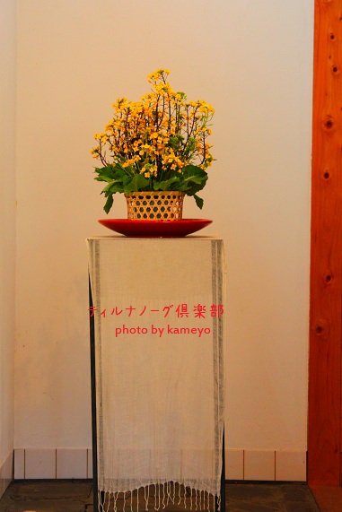 戸