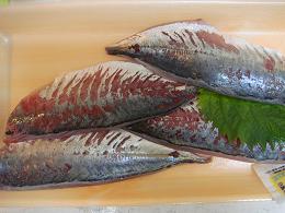 アジ