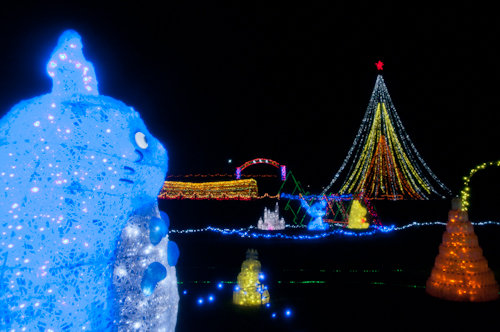 20121220田代公園イルミ2_500