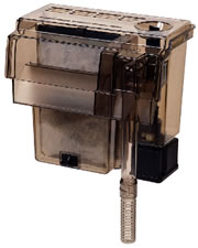 テトラとエーハイム ハコフグ飼育日記