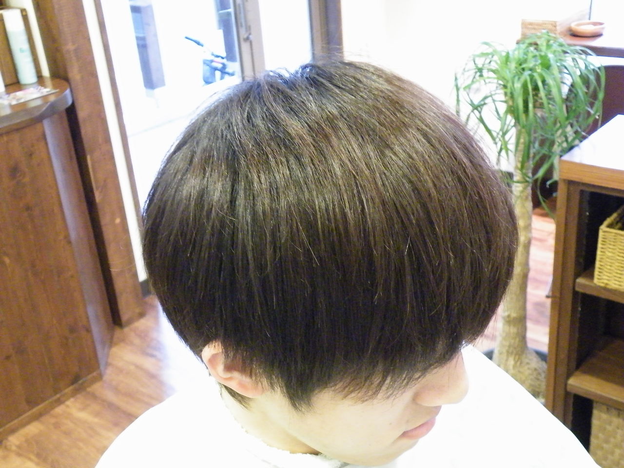 ヘナ ハーブで茶髪の若者を染める その後 かみふくブログ