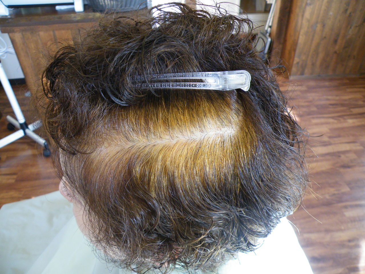 ヘナ ハーブで白髪を染める かみふくブログ