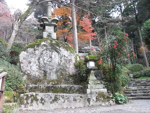 RIMG0338