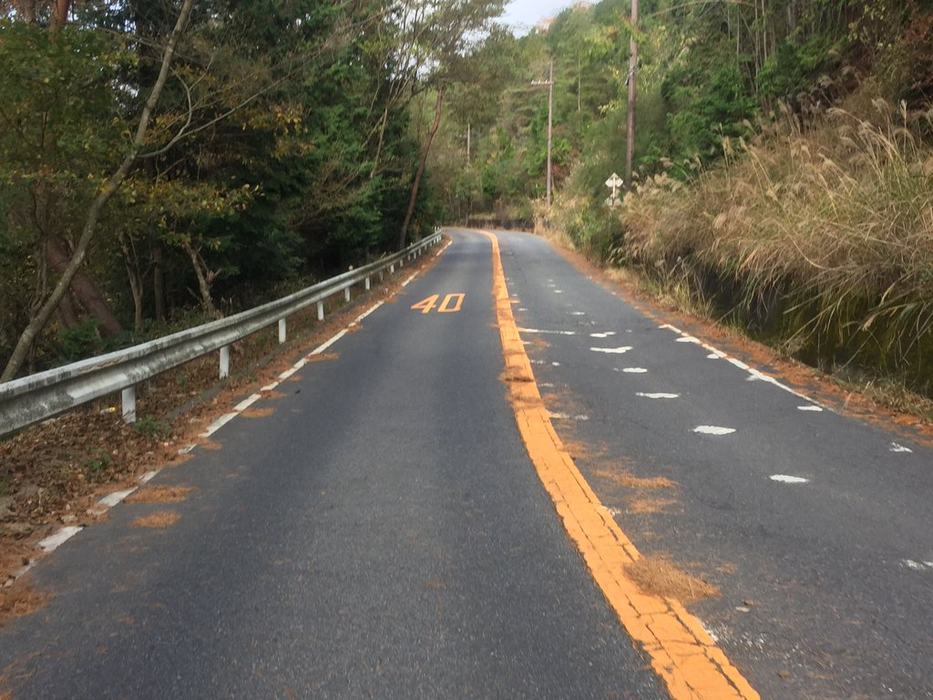 金勝山 アセボ峠ヒルクライム へたの坂好き
