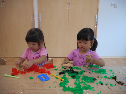 DSCN0964