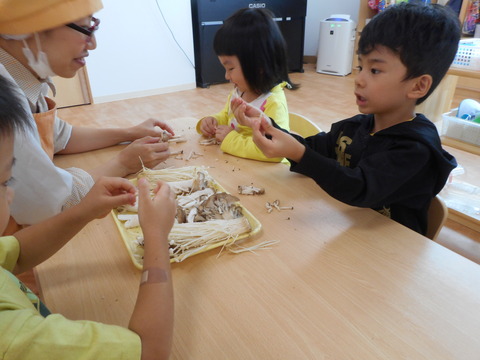 DSCN1558