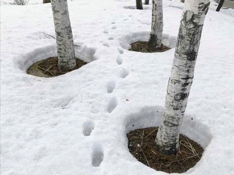 201803240065_sns_img_A~2