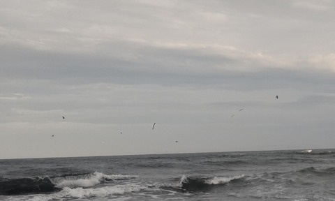 DSC_0232~3