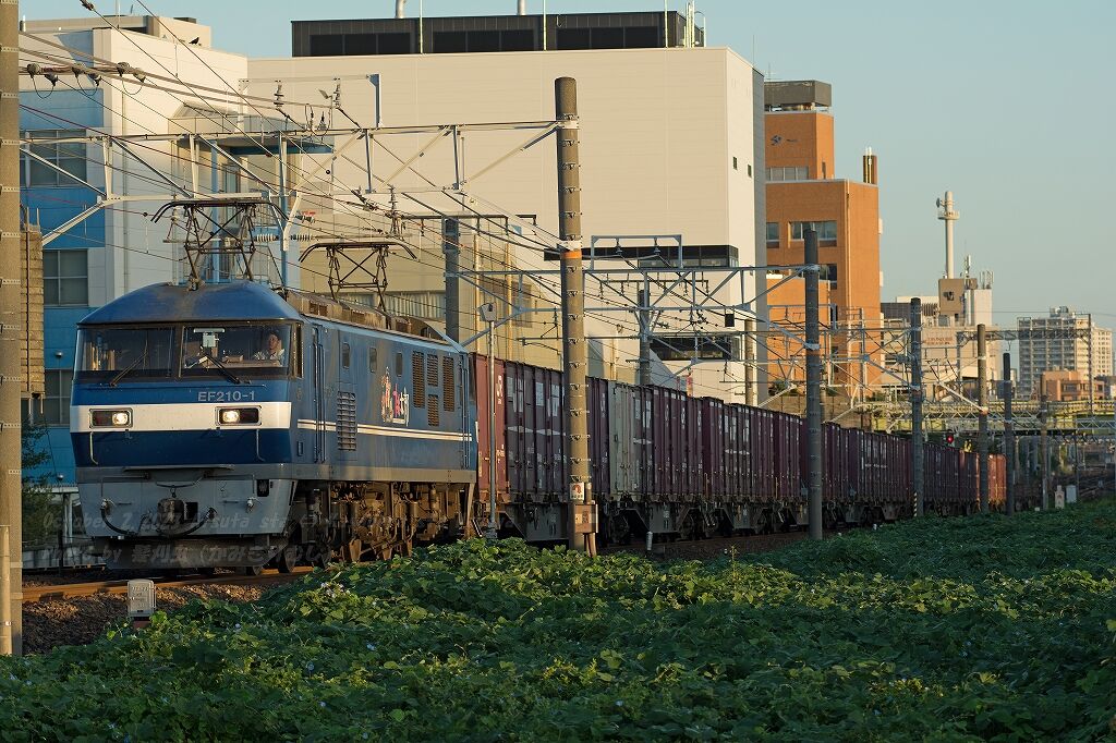 れ WE104Dの高信頼球 D-86327 中古良品を1本