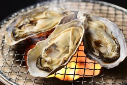 shutterstock_595905590