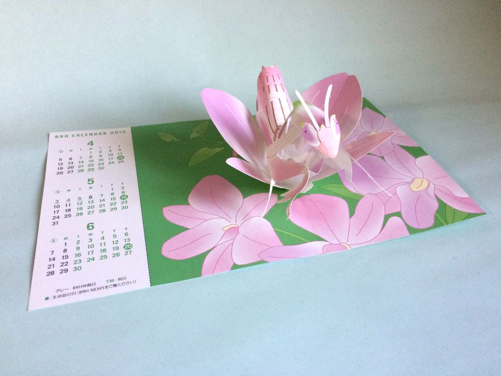 季刊 生命誌 84号から ハナカマキリ 紙工作好きのブログ 季刊 生命誌 84号から ハナカマキリ 紙工作好きのブログ