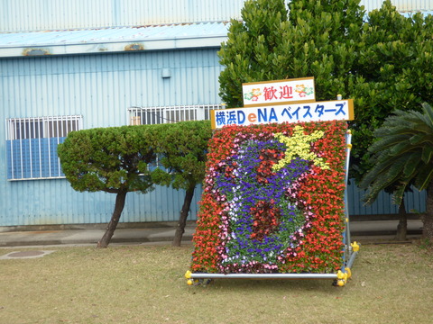 P1070425